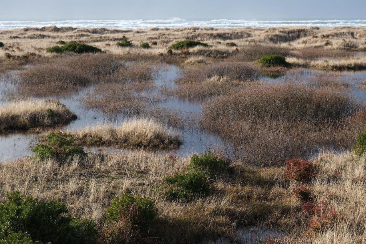 Tidal House 7 Villa Ocean Shores Exterior photo